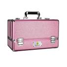Maleta Maquiagem Joias Manicure Alumínio ABS Pelegrin PEL-M1015 Rosa Cristal Maleta Maquiagem Joias Manicure Alumínio ABS Pelegrin PEL-M1015 Rosa Cristal