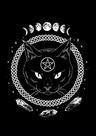 Mandala Gato Místico Fases da Lua - Quadro Decorativo