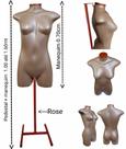 Manequim feminino adulto (Meio corpo jô N.36) Savana com tampa Rose + pedestal H na cor Rose.
