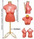 Manequim feminino (Busto Plus size GG N.46) Rose + pedestal retro na cor Golden Manequim feminino (Busto Plus size GG N.46) Rose + pedestal retro na cor Golden