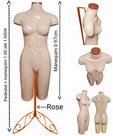 Manequim feminino (meio corpo definido N.38) bege com tampa rose + pedestal retro na cor Rose. Manequim feminino (meio corpo definido N.38) bege com tampa rose + pedestal retro na cor Rose.