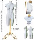 Manequim feminino (Meio corpo definido N.38) branco com tampa golden + pedestal retro golden