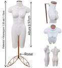 Manequim feminino (Meio corpo modelo definido N.38) branco com tampa Rose + pedestal retro Rose