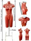 Manequim feminino (Meio corpo modelo definido N.38) Rose com tampa prata + pedestal H prata