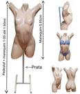 Manequim feminino (Meio corpo Pose Cláudia Raia N.38) bege + pedestal H na cor prata.