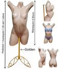 Manequim feminino (Meio corpo pose Cláudia Raia N.38) bege + pedestal retro na cor Golden
