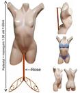 Manequim feminino (Meio corpo pose Cláudia Raia N.38) bege + pedestal retro na cor Rose