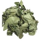 Mangaba folha 1Kg (Hancornia speciosa)