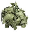 Mangaba Folha 250g (Erva Desidratada)