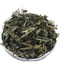 Manjericão Picado 1Kg