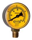 Manômetro De Pressão Para Filtro De Piscina Jacuzzi 60 Psi