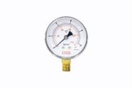 Manômetro Medidor De Pressão 150 Psi X 1/4 Npt Ivm Italy