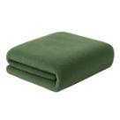 Manta Casal Lisa Microfibra Toque Macio 180x200cm Admirare 170 gramatura - Verde