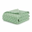 Manta Cobertor Queen Petit Poá 220g Flannel 01 Peça
