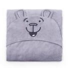 Manta Com Capuz Buettner Microfibra Infantil Teddy 90cmx90cm Cinza Claro
