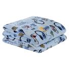 Manta Flannel Microfibra Diverkids Solteiro - Game - 100% Poliéster
