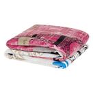 Manta Flannel Microfibra Diverkids Solteiro - Paris - 100% Poliéster