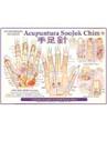 Mapa Acupuntura SooJok Chim