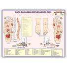 Mapa Áreas Reflexas Do Pés Gigante Dobrado 1,20 X 0,90m - Fisioterapia - Enfermagem - Medicina