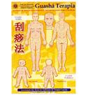 Mapa - Guashá Terapia - Prof Franco Joji Enomoto