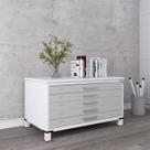 Mapoteca Mont 5 Gavetas 71,3cm x 120,4cm Aço Branco/Cinza