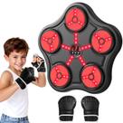 Máquina de Boxe Scvcid com Bluetooth para Parede Máquina de Boxe Scvcid com Bluetooth para Parede