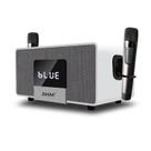 Máquina de karaokê RHM K222 Bluetooth Speaker 2 microfone sem fio