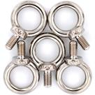 Maquinário de elevação de aço inoxidável Eyebolt M8 (5 unidades)