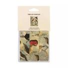 Marcador de página - emilio goeldi - aves