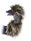 Marionete de palco Folkmanis Emu Brown