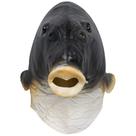 Máscara Boxwizard Fish Realistic Animal Latex de cabeça cheia