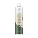 Máscara Condicionante Capilar 300ml - Bris Hair