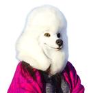 Máscara de Cabeça de Poodle Realista para Adultos CreepyParty