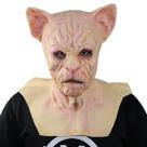 Máscara de cosplay para gatos sem pêlos, Halloween, Carnaval, Páscoa, M