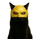 Máscara de Gato 3D Batcat Preta Dourada Prateada Fantasia Máscara de Gato 3D Batcat Preta Dourada Prateada Fantasia