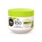 Máscara de Tratamento Hidratação Antifrizz Escudo Antiporosidade Equilíbrio do PH Maçã Verde 300g, Salon Line