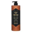 Máscara de Tratamento Kerasys Propolis Shine 1L