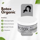 Máscara De Tratamento Liso Completo Btox Organico E Terapia Capilar