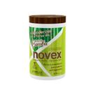 Máscara De Tratamento Novex Broto De Bambu 400g Máscara De Tratamento Novex Broto De Bambu 400g