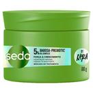 Máscara de Tratamento Seda Força e Crescimento By Rayza Babosa e Prebiotic Oil Complex 300g