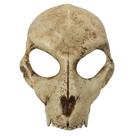 Máscara Fantasy Wolf Skull Cosplay Resina de Halloween 400g