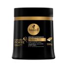 Máscara Haskell Cavalo Forte 500g Força Brilho E Crescimento de Cabelo