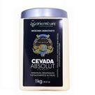 Máscara Hidratante Cevada Absolut Oriente Life 1kg Máscara Hidratante Cevada Absolut Oriente Life 1kg