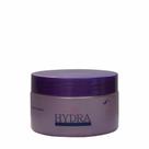 Máscara Hydra Max Gold Hair Advance 250g home care