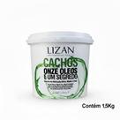 Máscara Lizan Cachos 11 Óleos e 1 Segredo O Poder da Natureza para Seus Cachos