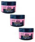 MASCARA NUTRITIVA EFEITO TEIA ROSA MOSQUETA 300gr NATUFLORES Kit 3und