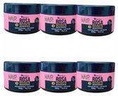 MASCARA NUTRITIVA EFEITO TEIA ROSA MOSQUETA 300gr NATUFLORES Kit 6und