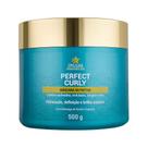Mascara para Cachos Perfect Curly DYUSAR 500g Hidratação Absoluta Mascara para Cachos Perfect Curly DYUSAR 500g Hidratação Absoluta
