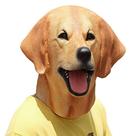 Máscara para cães, Labrador, Halloween, cosplay, festa temática de animais