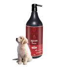 Máscara Premium Super Nutrição Fleshness Pet 1kg